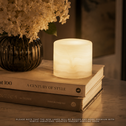 Lamp on books with a vase of flowers in the background